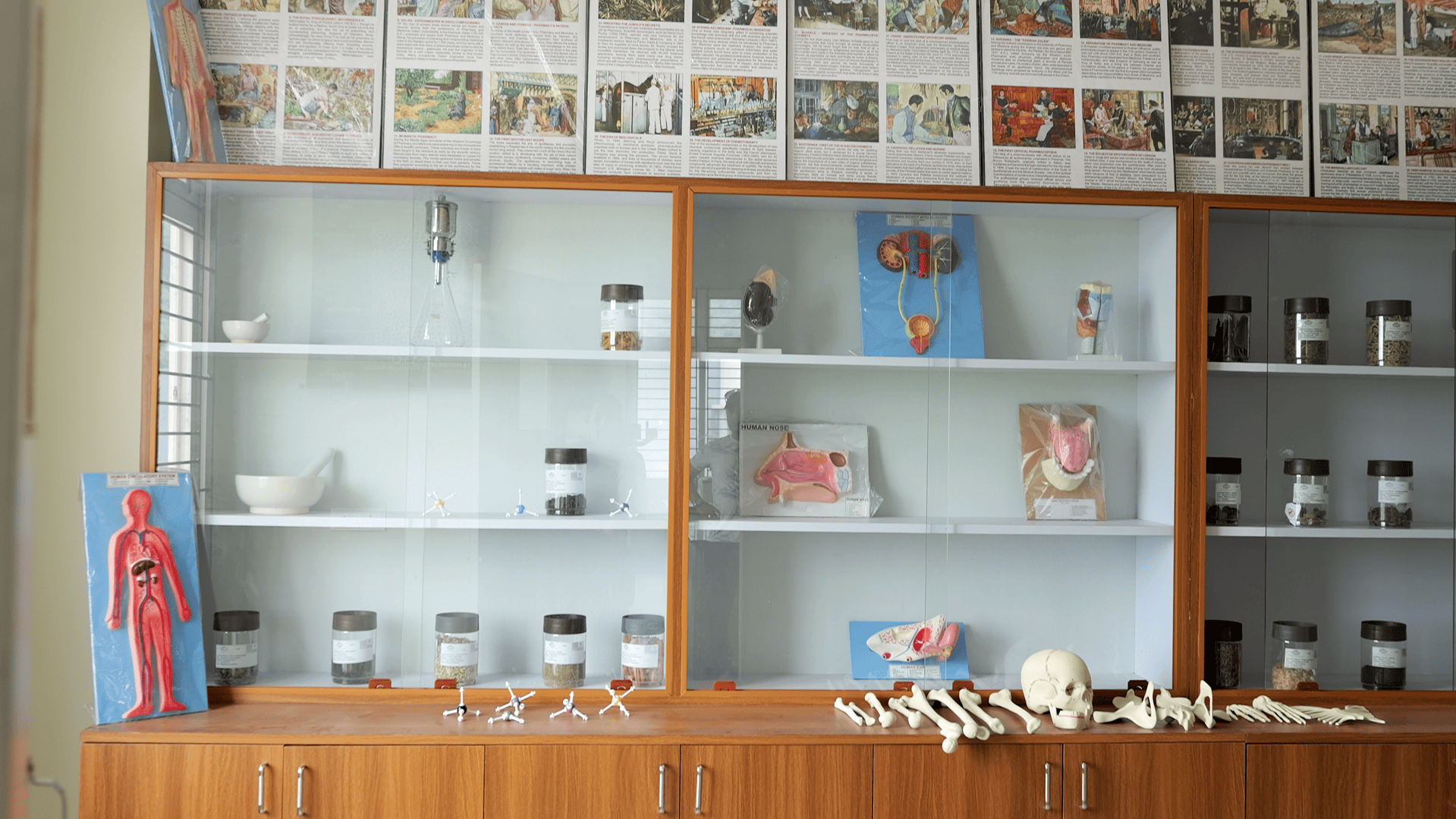 Pragjyotishpur University Guwahati Museum photo 8